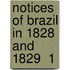 Notices Of Brazil In 1828 And 1829  1