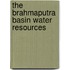 The Brahmaputra Basin Water Resources