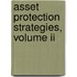 Asset Protection Strategies, Volume Ii