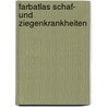 Farbatlas Schaf- und Ziegenkrankheiten door Johannes Winkelmann