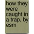 How They Were Caught In A Trap, By Esm