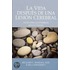 La Vida Despues De Una Lesion Cerebral