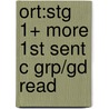 Ort:stg 1+ More 1st Sent C Grp/gd Read door Roderick Hunt