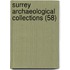 Surrey Archaeological Collections (58)