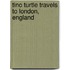 Tino Turtle Travels to London, England