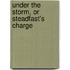 Under The Storm, Or Steadfast's Charge