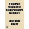 A History Of West Gower, Glamorganshire door John David Davies