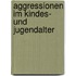 Aggressionen im Kindes- und Jugendalter