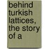 Behind Turkish Lattices, The Story Of A