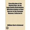 Classification Of The Chalcid Flies; Or door William Harris Ashmead