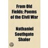 From Old Fields; Poems Of The Civil War