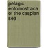 Pelagic Entomostraca Of The Caspian Sea
