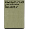 Physicochemical Groundwater Remediation door Susan E. Burns