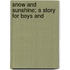 Snow And Sunshine; A Story For Boys And