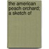 The American Peach Orchard; A Sketch Of