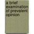 A Brief Examination Of Prevalent Opinion