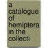 A Catalogue Of Hemiptera In The Collecti