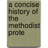 A Concise History Of The Methodist Prote