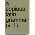A Copious Latin Grammar (V. 1)