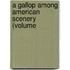 A Gallop Among American Scenery (Volume