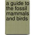 A Guide To The Fossil Mammals And Birds
