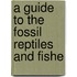 A Guide To The Fossil Reptiles And Fishe