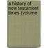 A History Of New Testament Times (Volume