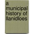 A Municipal History Of Llanidloes