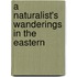 A Naturalist's Wanderings In The Eastern