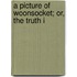 A Picture Of Woonsocket; Or, The Truth I