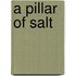 A Pillar Of Salt