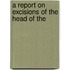 A Report On Excisions Of The Head Of The
