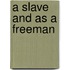 A Slave And As A Freeman