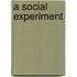 A Social Experiment