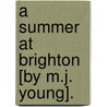 A Summer At Brighton [By M.J. Young]. door Mary Julia Young