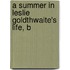 A Summer In Leslie Goldthwaite's Life, B