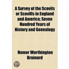 A Survey Of The Scovils Or Scovills In E by Homer Worthington Brainard