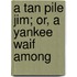 A Tan Pile Jim; Or, A Yankee Waif Among