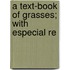 A Text-Book Of Grasses; With Especial Re