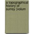 A Topographical History Of Surrey (Volum