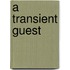 A Transient Guest