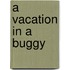A Vacation In A Buggy