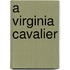 A Virginia Cavalier