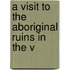 A Visit To The Aboriginal Ruins In The V