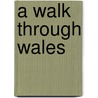 A Walk Through Wales door Richard Warner