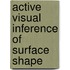 Active Visual Inference Of Surface Shape