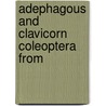 Adephagous And Clavicorn Coleoptera From by Geological Survey