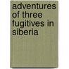 Adventures Of Three Fugitives In Siberia by Victor Tissot