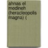 Ahnas El Medineh (Heracleopolis Magna) (