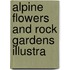 Alpine Flowers And Rock Gardens Illustra